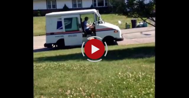 What My Dog Did  To The Mail Lady.