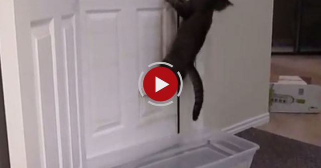 Mulder Opening Doors