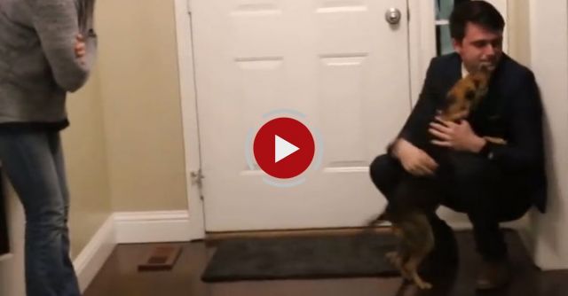 Dog Reacts To Return Of Nathan After Two Year Mormon Mission