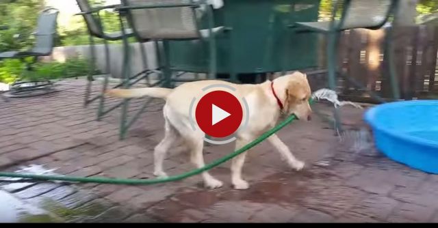 Maddie Filling Up Her Pool