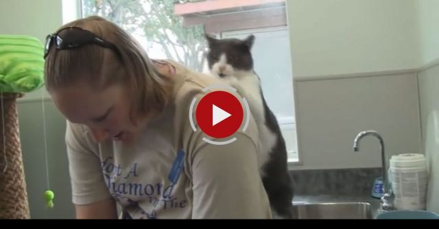 You Scratch My Back, I Scratch Yours