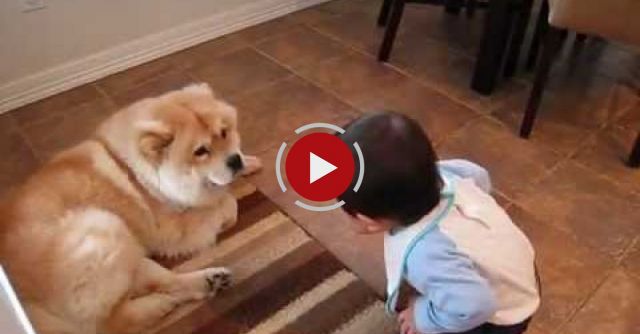 Baby Making Interesting Conversation With Dog