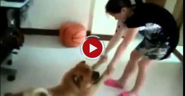 Dog Plays Dead To Avoid Taking A Bath!