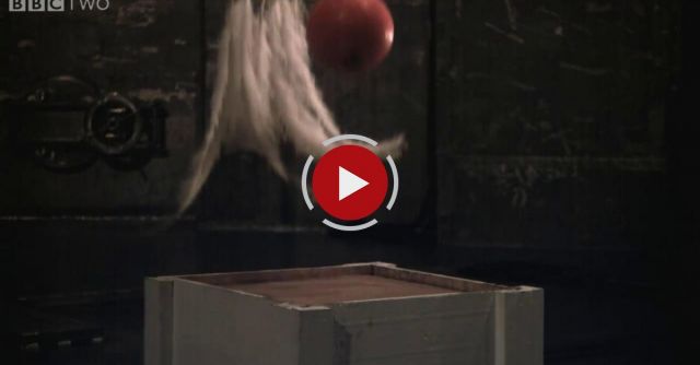 Bowling Ball And A Feather Are Dropped In Vacuum