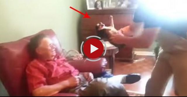 A Dog Is Playing Dead When He Is Picked Up