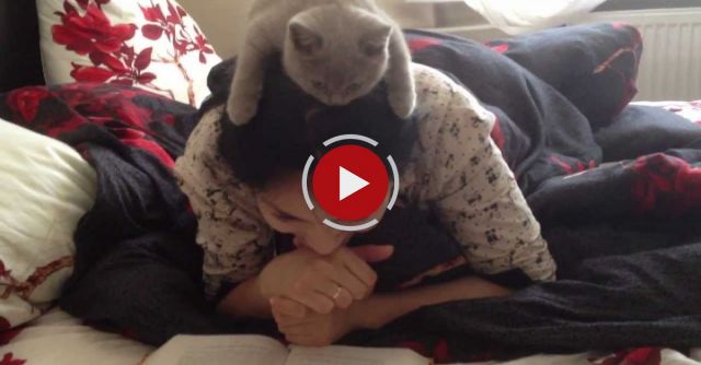 Girl Reads With Kitten On Her Head