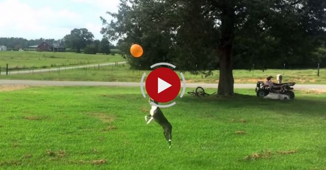 Rose Plays With A Balloon