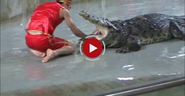 This Man Sticks His Arm In A Crocodile Stomach