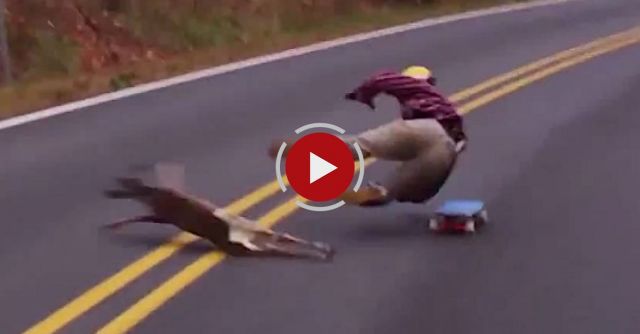 Longboarder Hits Deer!