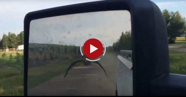 Lead A Goose To Water