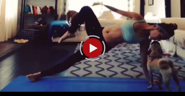 Cats And Dogs Interrupting Yoga 