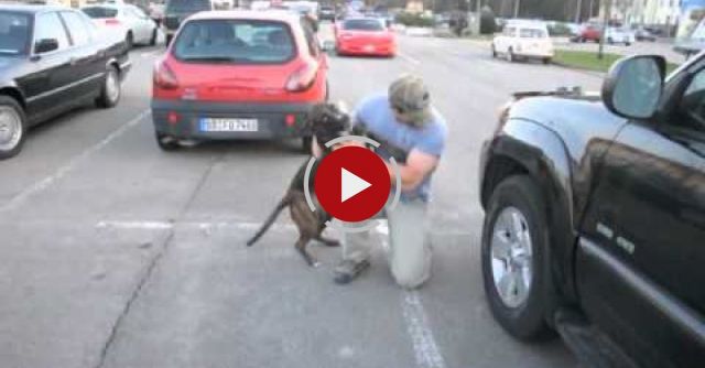 Dog Welcomes Home Soldier...Again