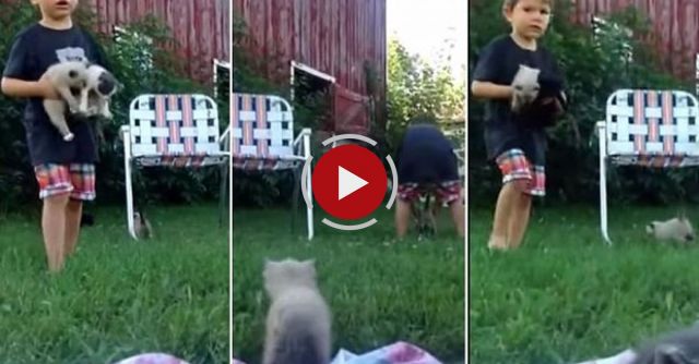 Adorable: We Have A (Cat) Situation!