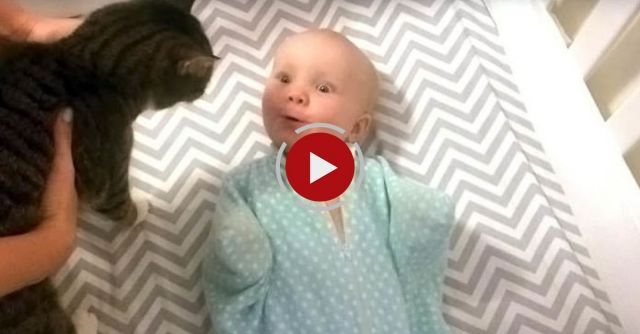 Baby Loves Cat
