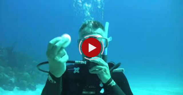 What Happens When You Crack An Egg Underwater