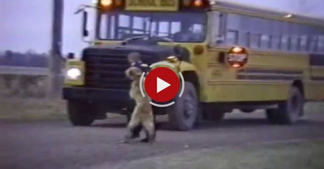 Dogs Who Don't Want Their Kid To Go Back To School