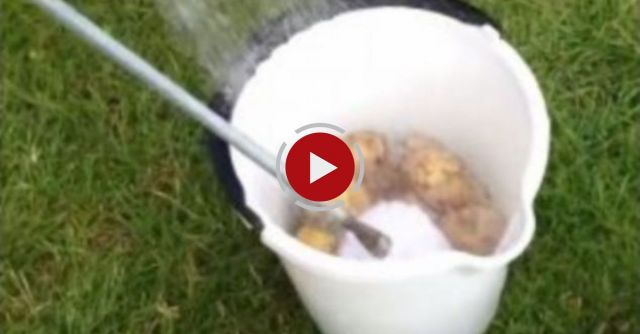 Danish Potato Peeling