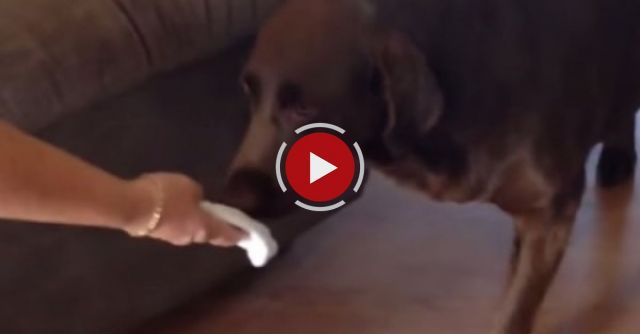 Charlie's Reaction To His Baby Sister's Arrival