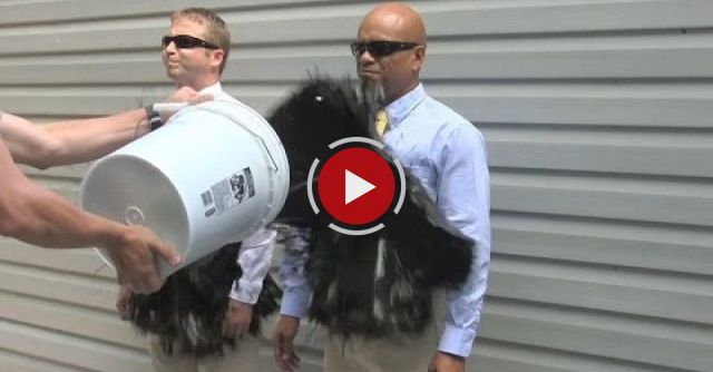 Superhydrophobic Coating