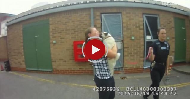 Pug Reunited With Owner