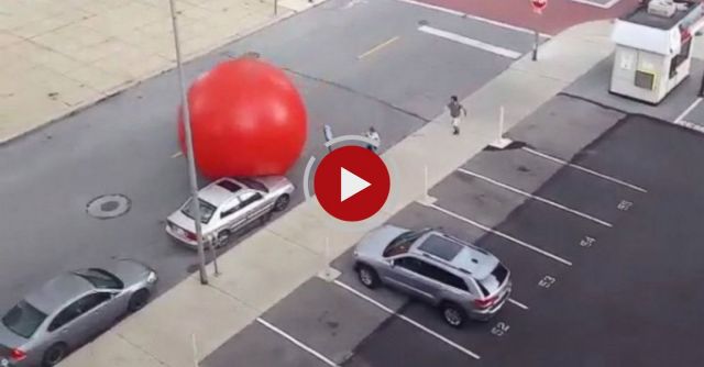 250 Lb Redball On The Loose In Downtown Toledo, OH
