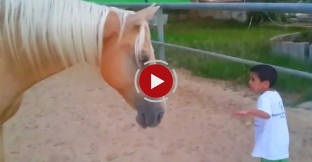 Boy With Williams Syndrome Creates Nonverbal Communication With A Horse