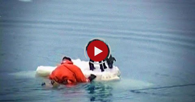 Restore Your Faith In Humanity In 4 Minutes Flat