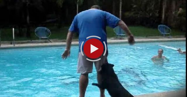 Dog Pushed People To Water..