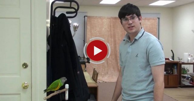 World Record 20 Parrot Tricks In 2 Minutes 