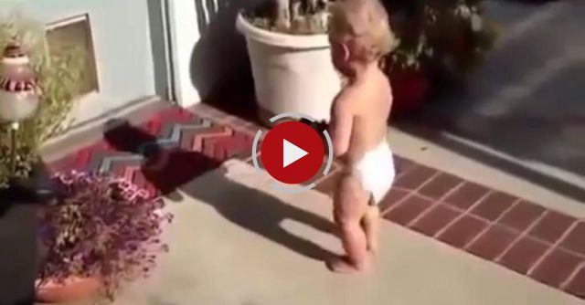 Babies Scared Of Their Shadow 