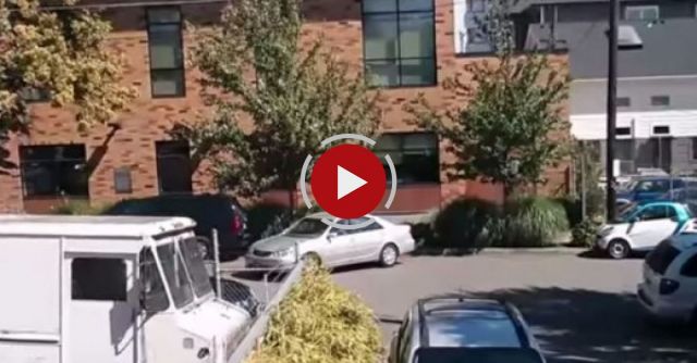 Portland Parking Fail