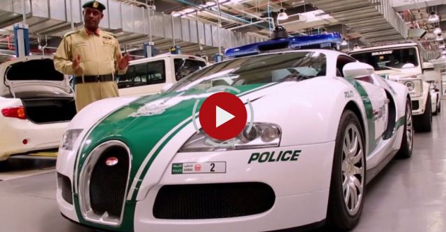 The World's Fastest Police Cars