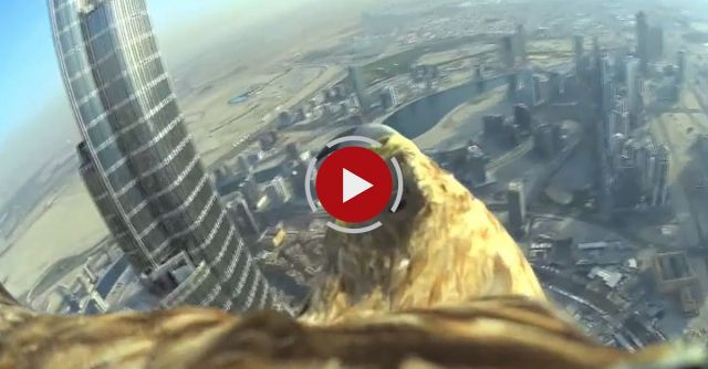 Dubai World Record Eagle Flight
