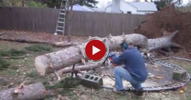 Cutting The Magic Tree