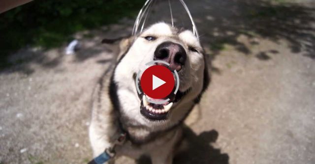 Silver And Head Massager