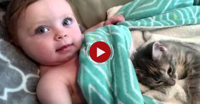 Cutest Video Ever!