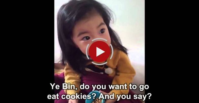 Mom Tries To Teach Adorable Girl Life Lesson