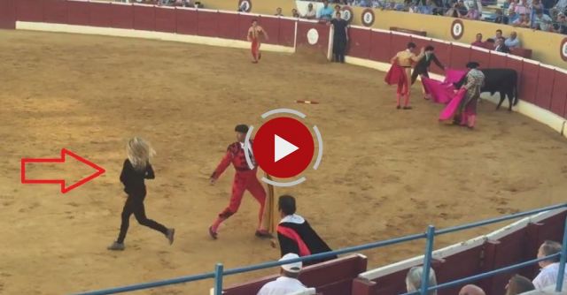 PETA Supporter Rushes To Help Dying Bull During Bullfight