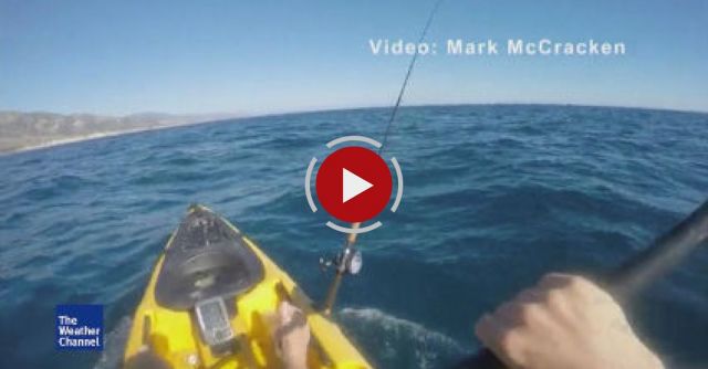 Kayak Fisherman Fights Off Aggresive Hammerhead Shark!!! 