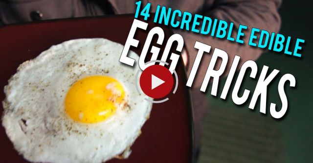14 Incredible Egg Tricks!