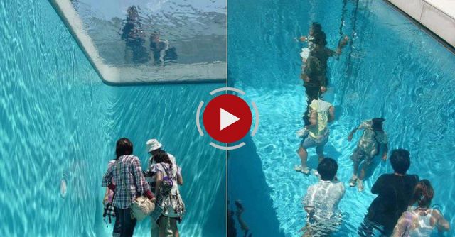 Amazing Japanese Fake Pool