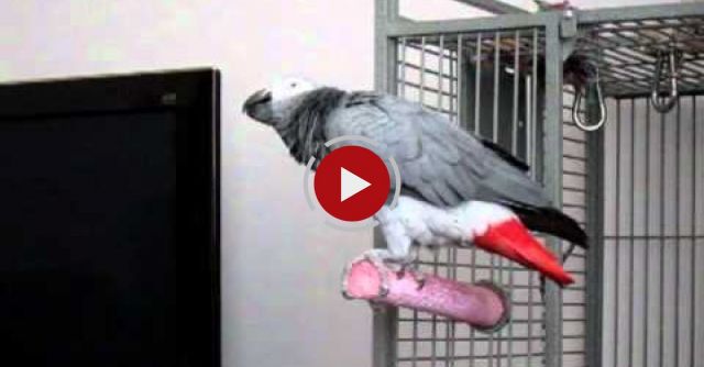 My Name Is Bond, James Bond