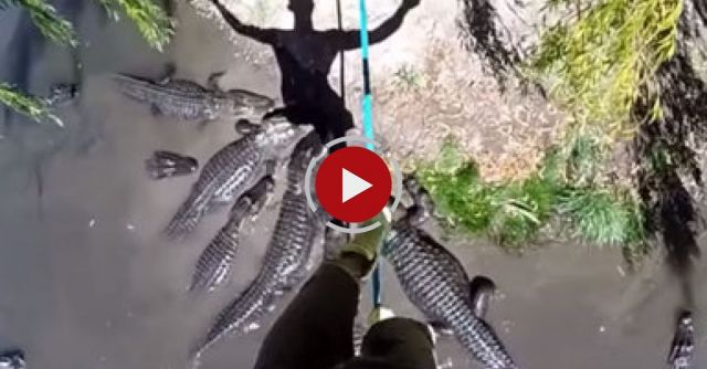 Slacklining Over Alligator Pool