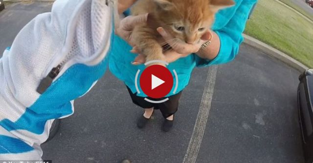 Motorcyclist Saves Kitty In Middle Of Intersection