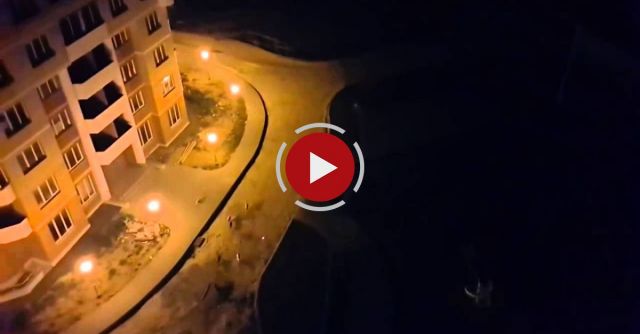 High Powered Laser + Pack Of Wild Dogs