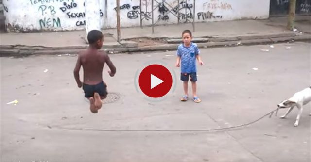 Dog With Jump Rope Knows The Perfect Way To Make New Friends 