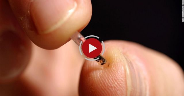 IBM News: Every American Will Be Micro Chipped In 3 Years