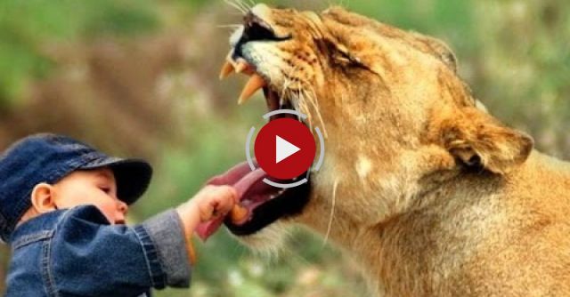 5 Shocking Stories Of Feral Children Who Were Raised By Animals