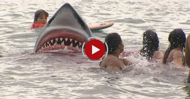 Insane Shark Prank Scares People To Death