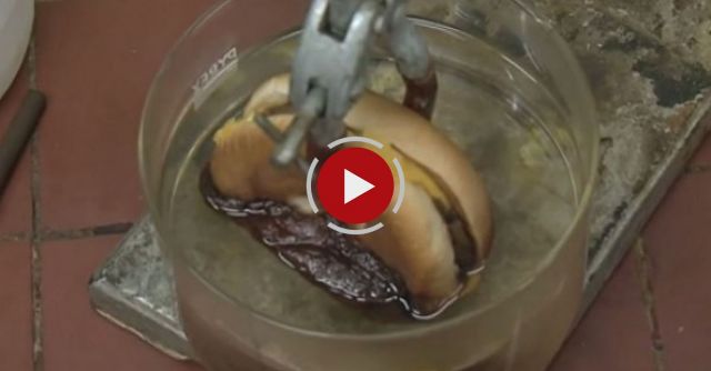 Cheeseburger In Hydrochloric Acid